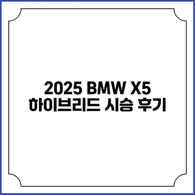 2025 BMW X5 하이브리드 시승 후기