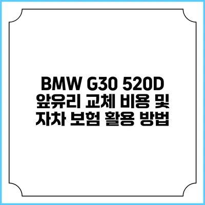 BMW G30 520D 앞유리 교체 비용 및 자차 보험 활용 방법