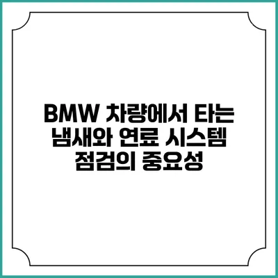 BMW 차량에서 타는 냄새와 연료 시스템 점검의 중요성