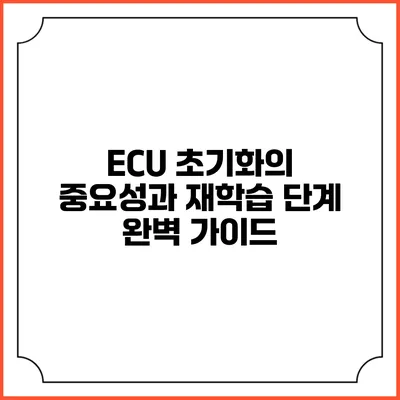 ECU 초기화의 중요성과 재학습 단계 완벽 가이드