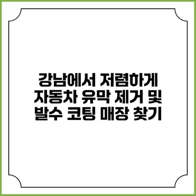 강남에서 저렴하게 자동차 유막 제거 및 발수 코팅 매장 찾기
