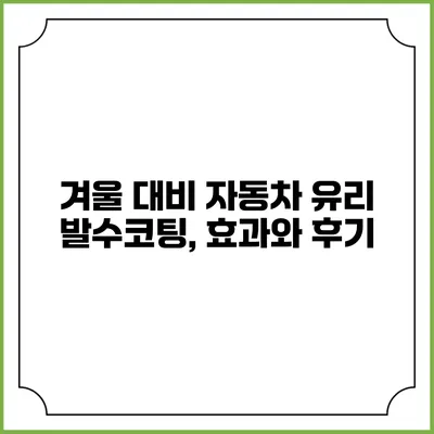 겨울 대비 자동차 유리 발수코팅, 효과와 후기