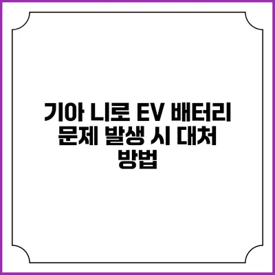 기아 니로 EV 배터리 문제 발생 시 대처 방법