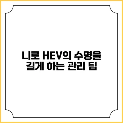 니로 HEV의 수명을 길게 하는 관리 팁