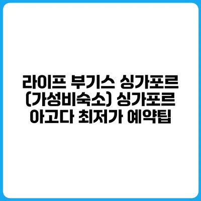 라이프 부기스 싱가포르 (가성비숙소) 싱가포르 아고다 최저가 예약팁