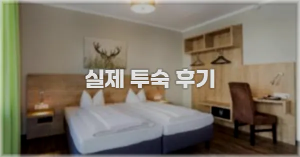 💬 실제 투숙 후기