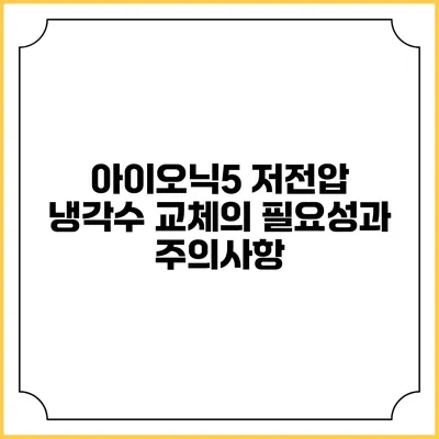 아이오닉5 저전압 냉각수 교체의 필요성과 주의사항
