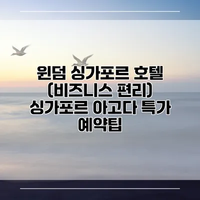 윈덤 싱가포르 호텔 (비즈니스 편리) 싱가포르 아고다 특가 예약팁