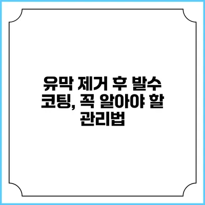 유막 제거 후 발수 코팅, 꼭 알아야 할 관리법
