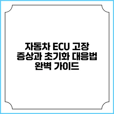 자동차 ECU 고장 증상과 초기화 대응법 완벽 가이드