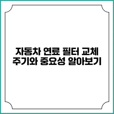 자동차 연료 필터 교체 주기와 중요성 알아보기
