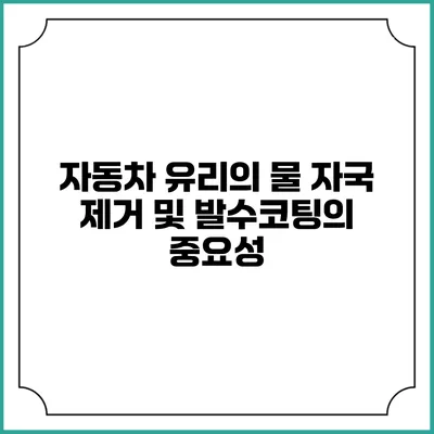 자동차 유리의 물 자국 제거 및 발수코팅의 중요성