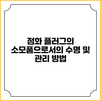 점화 플러그의 소모품으로서의 수명 및 관리 방법