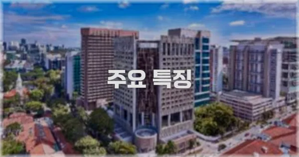 ✨ 주요 특징