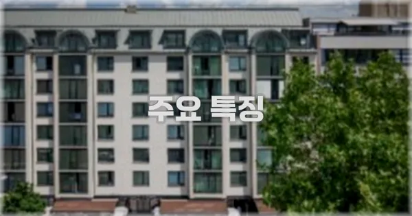 ✨ 주요 특징