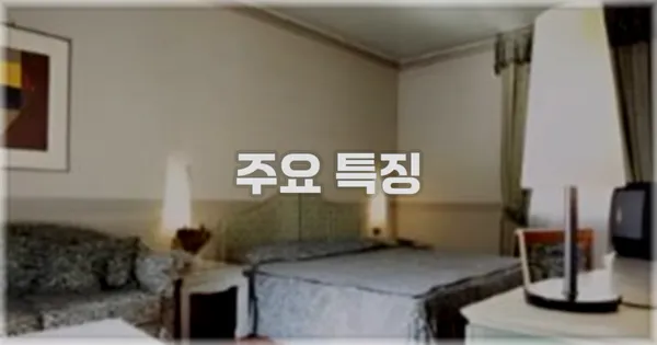 ✨ 주요 특징