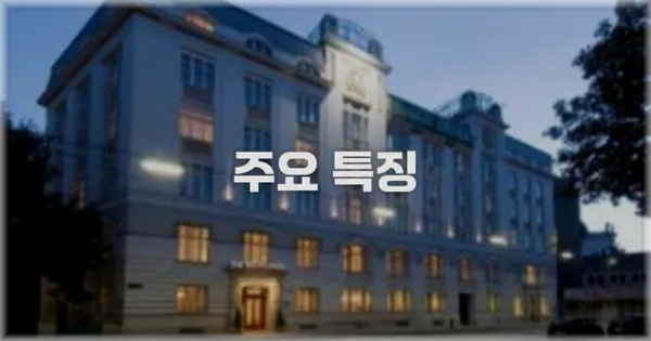 ✨ 주요 특징