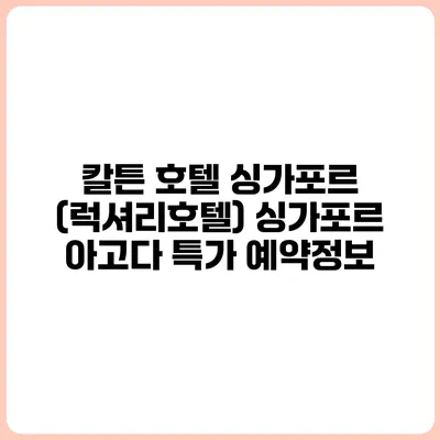 칼튼 호텔 싱가포르 (럭셔리호텔) 싱가포르 아고다 특가 예약정보