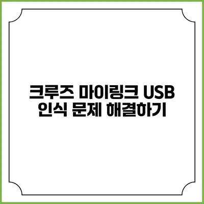 크루즈 마이링크 USB 인식 문제 해결하기