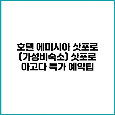 호텔 에미시아 삿포로 (가성비숙소) 삿포로 아고다 특가 예약팁