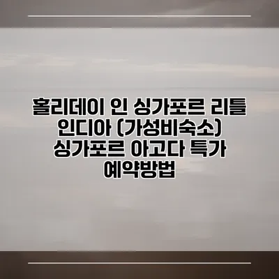 홀리데이 인 싱가포르 리틀 인디아 (가성비숙소) 싱가포르 아고다 특가 예약방법
